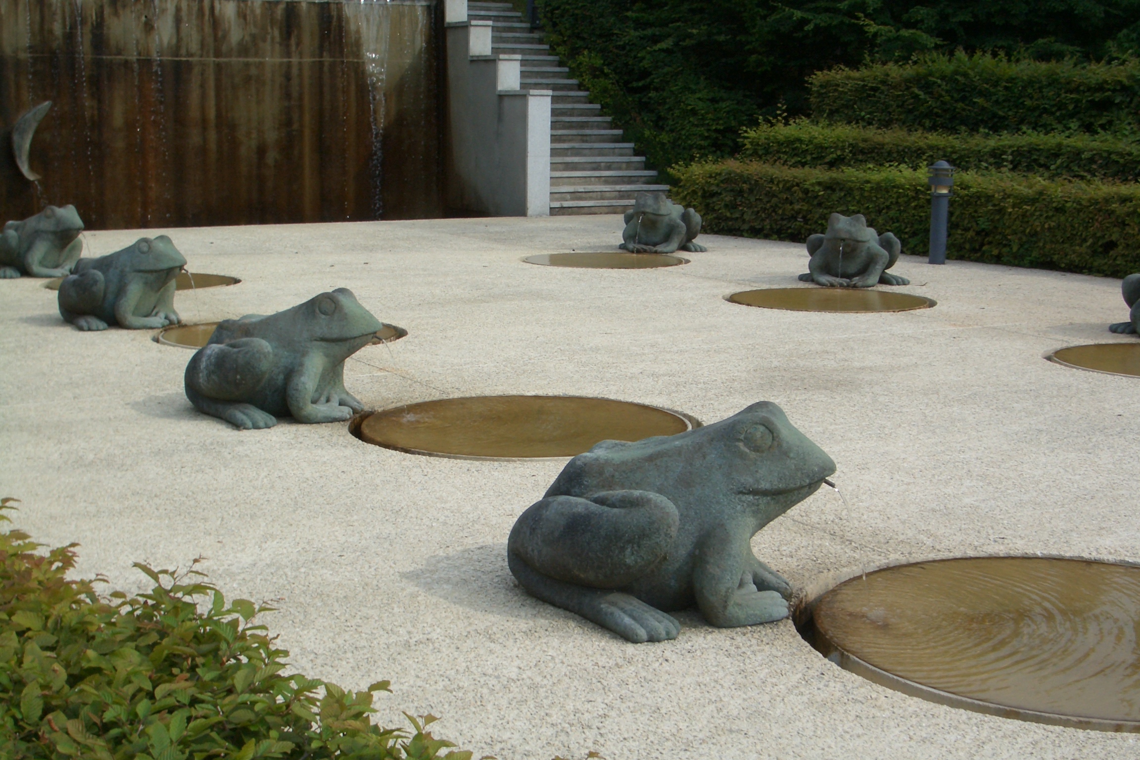 Eugenie frogs
